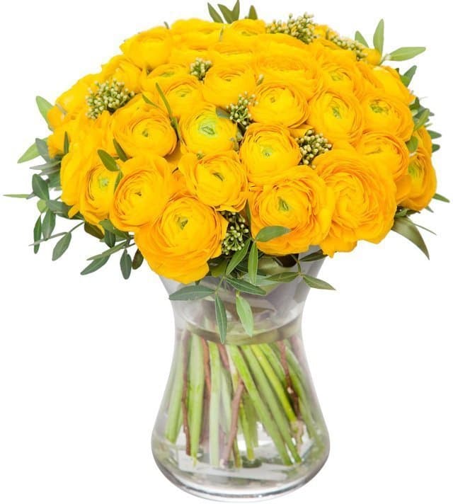 Букет из Ранункулюсов «Солнечный ранункулюс» – можно выбрать цвет Букет из Ранункулюсов «Солнечный ранункулюс» – можно выбрать цвет