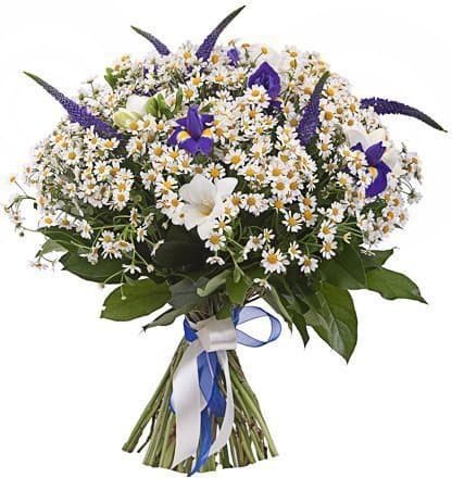 Букет из Ромашек, Фрезий и Ирисов «Волшебная поляна» Букет из Ромашек, Фрезий и Ирисов «Волшебная поляна»