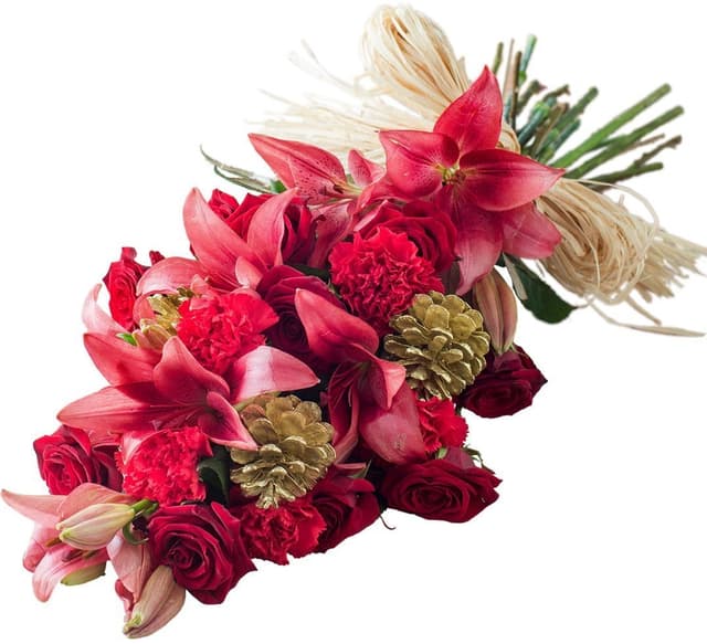 Букет из Роз, Гвоздик и Сосновых шишек «Яркий новый год» Букет из Роз, Гвоздик и Сосновых шишек «Яркий новый год»