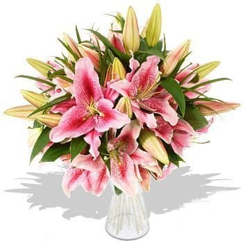Букет из розовой Лилии «Розовый бриз» Букет из розовой Лилии «Розовый бриз»
