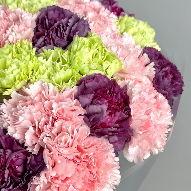 Букет из розовых, фиолетовых и зеленых Гвоздик 25 шт «Тайное Желание» Букет из розовых, фиолетовых и зеленых Гвоздик 25 шт «Тайное Желание»