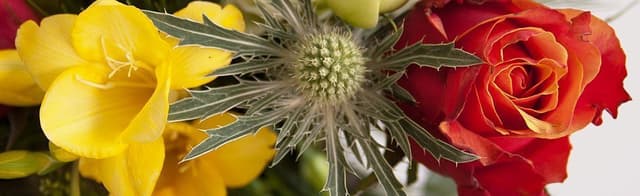 Букет из Сосновых веток, Фрезии и Роз «Новогодняя радость» Букет из Сосновых веток, Фрезии и Роз «Новогодняя радость»