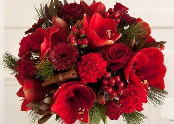 Букет из Сосновых веток, Гвоздик и Роз «Новогоднее восхищение» Букет из Сосновых веток, Гвоздик и Роз «Новогоднее восхищение»