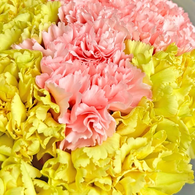 Букет из желтых и розовых Гвоздик 25 шт «Тропический Смузи» Букет из желтых и розовых Гвоздик 25 шт «Тропический Смузи»