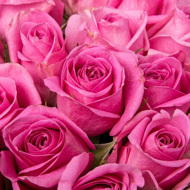 Букет розовых Роз Кения 40 см 25 шт «Девичьи Секреты» Букет розовых Роз Кения 40 см 25 шт «Девичьи Секреты»