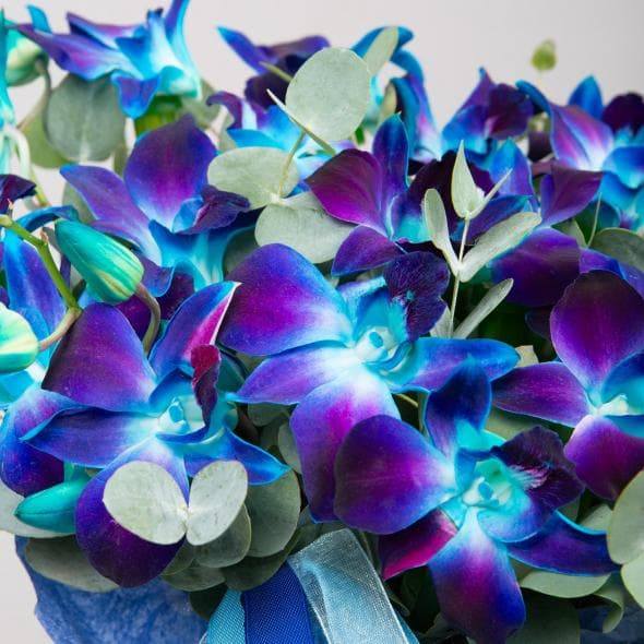 Композиция из синих Орхидей «Звездная Ночь» в коробке Композиция из синих Орхидей «Звездная Ночь» в коробке