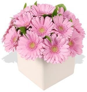 Композиция из Гербер в вазе «Гербера Розовая» Композиция из Гербер в вазе «Гербера Розовая»