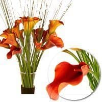 Композиция из Калл «Объятие тепла» в высокой вазе Композиция из Калл «Объятие тепла» в высокой вазе