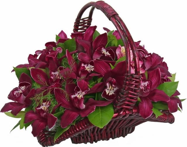 Композиция из Орхидей в корзине «Магия сумерек» Композиция из Орхидей в корзине «Магия сумерек»