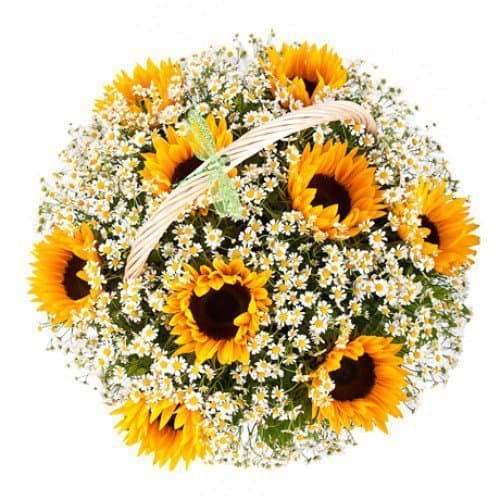 Композиция из Ромашек и Подсолнухов в корзине «Лучезарная корзина» Композиция из Ромашек и Подсолнухов в корзине «Лучезарная корзина»