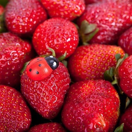 Композиция из Роз и Клубники «Вкусно и прекрасно» Композиция из Роз и Клубники «Вкусно и прекрасно»