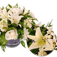 Композиция из Роз, Лилий и Фрезии «Сливки со стола» Композиция из Роз, Лилий и Фрезии «Сливки со стола»