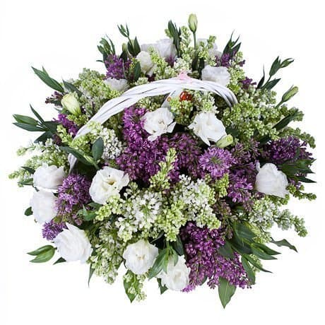 Композиция из Сирени и Лизиантуса в корзине «Душка» Композиция из Сирени и Лизиантуса в корзине «Душка»