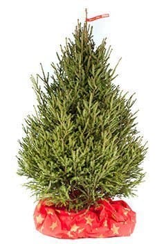 Коврик-чехол для елки №4 Коврик-чехол для елки №4