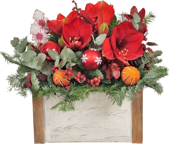 Новогодняя композиция с Амариллисами в ящике «Праздничный амариллис» Новогодняя композиция с Амариллисами в ящике «Праздничный амариллис»