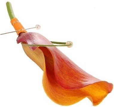 Оранжевая Калла Оранжевая Калла