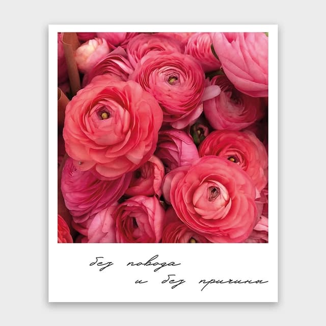 Открытка-фотокарточка «Без повода и без причины» Открытка-фотокарточка «Без повода и без причины»