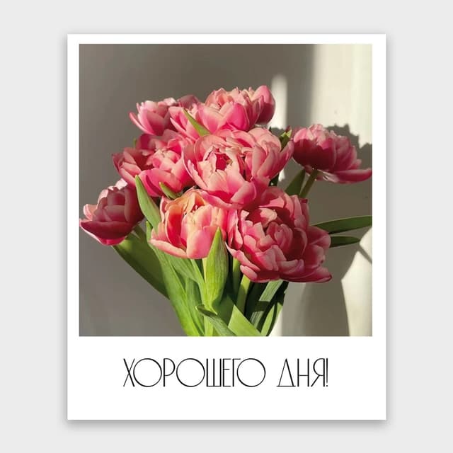 Открытка-фотокарточка «Хорошего дня» Открытка-фотокарточка «Хорошего дня»