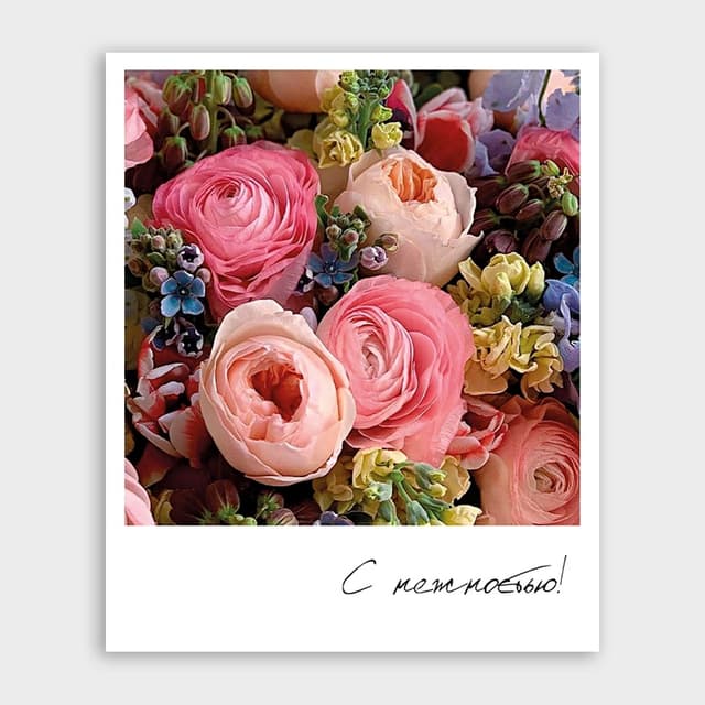 Открытка-фотокарточка «С нежностью!» Открытка-фотокарточка «С нежностью!»