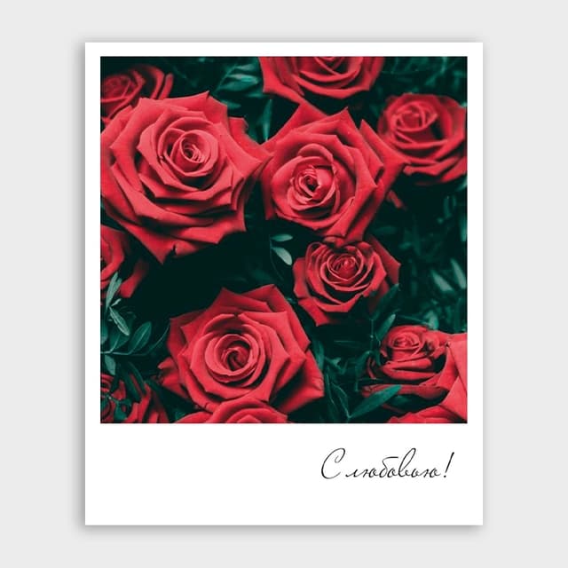 Открытка-фотокарточка с розами «С любовью!» Открытка-фотокарточка с розами «С любовью!»