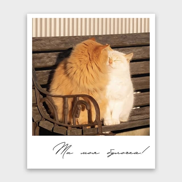 Открытка-фотокарточка «Ты моя булочка!» Открытка-фотокарточка «Ты моя булочка!»