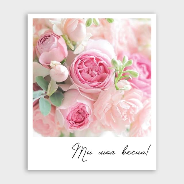 Открытка-фотокарточка «Ты моя весна!» Открытка-фотокарточка «Ты моя весна!»